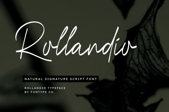 Rollandio: Elevating Design with Elegant Typography